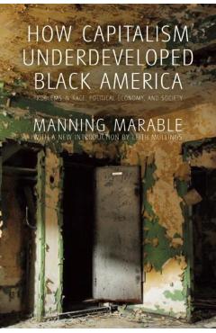 How Capitalism Underdeveloped Black America: Problems in Race, Political Economy, and Society - Manning Marable