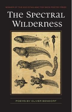 The Spectral Wilderness - Oliver Bendorf