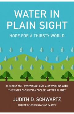 Water in Plain Sight: Hope for a Thirsty World - Judith D. Schwartz