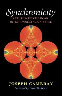 Synchronicity, Volume 15: Nature and Psyche in an Interconnected Universe - Joseph Cambray