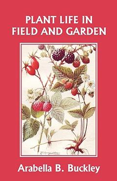Plant Life in Field and Garden (Yesterday\'s Classics) - Arabella Buckley