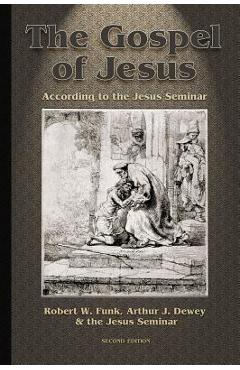 Gospel of Jesus: According to the Jesus Seminar - Arthur J. Dewey