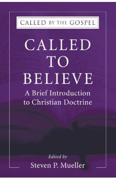Called to Believe: A Brief Introduction to Doctrinal Theology - Steven P. Mueller