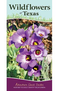 Wildflowers of Texas: Your Way to Easily Identify Wildflowers