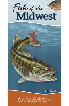 Fish of the Midwest: Your Way to Easily Identify Fish