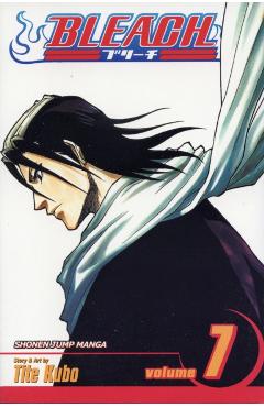 Bleach, Vol. 7, 7 - Tite Kubo