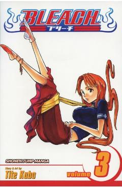 Bleach, Volume 3 - Tite Kubo
