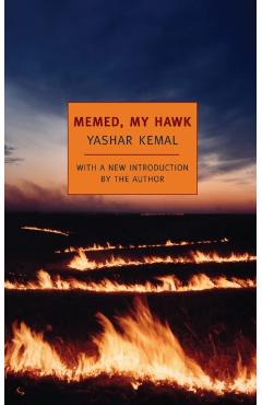 Memed, My Hawk - Yashar Kemal