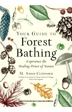 Your Guide to Forest Bathing (Expanded Edition): Experience the Healing Power of Nature - M. Amos Clifford