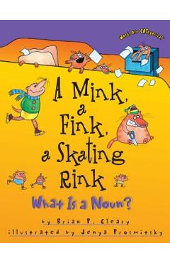 A Mink, a Fink, a Skating Rink: What Is a Noun? - Brian P. Cleary