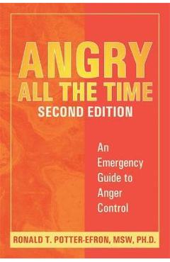 Angry All the Time: An Emergency Guide to Anger Control - Ronald Potter-efron