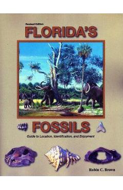 Florida's Fossils, Third Edition - Robin C. Brown - Imagine 1
