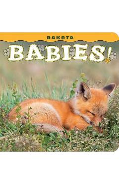 Dakota Babies! - Steph Lemann