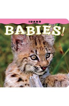 Idaho Babies! - Steph Lehmann