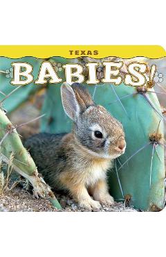 Texas Babies! - Steph Lehmann