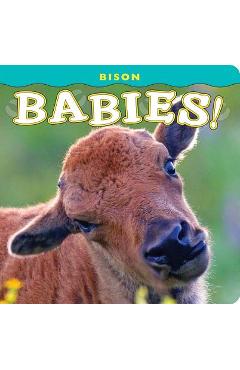 Bison Babies! - Donald M. Jones