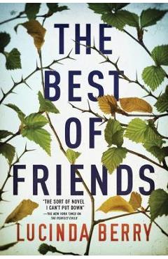 The Best of Friends - Lucinda Berry