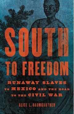 South to Freedom: Runaway Slaves to Mexico and the Road to the Civil War - Alice L. Baumgartner