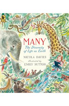 Many: The Diversity of Life on Earth - Nicola Davies
