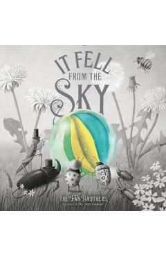 It Fell from the Sky - Terry Fan