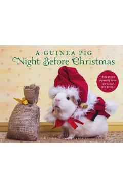 A Guinea Pig Night Before Christmas - Clement Clarke Moore