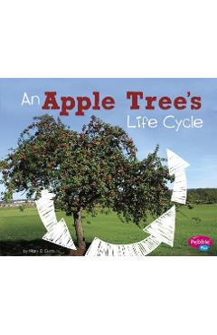 An Apple Tree\'s Life Cycle - Mary R. Dunn