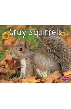 Gray Squirrels - G. G. Lake