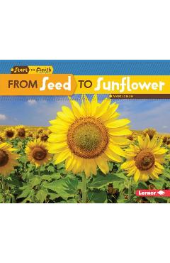 From Seed to Sunflower - Mari C. Schuh