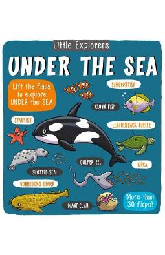 Little Explorers: Under the Sea - Little Bee Books