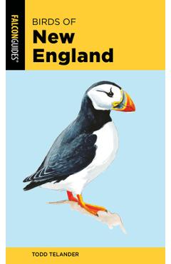 Birds of New England - Todd Telander