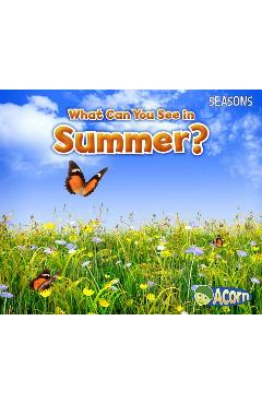 What Can You See in Summer? - Sian Smith