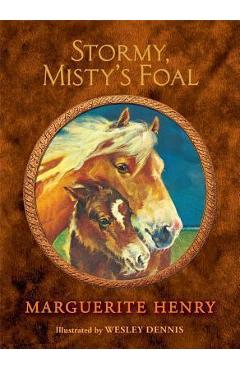 Stormy, Misty\'s Foal - Marguerite Henry