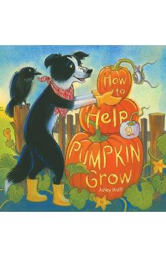How to Help a Pumpkin Grow - Ashley Wolff