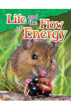 Life and the Flow of Energy - William B. Rice