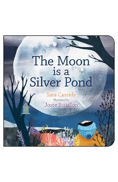 The Moon Is a Silver Pond - Sara Cassidy