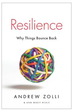 Resilience: Why Things Bounce Back - Andrew Zolli