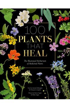100 Plants That Heal: The Illustrated Herbarium of Medicinal Plants - Fran�ois Couplan
