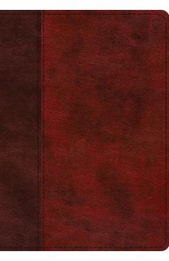 ESV Single Column Journaling Bible, Large Print (Trutone, Burgundy/Red, Timeless Design) -