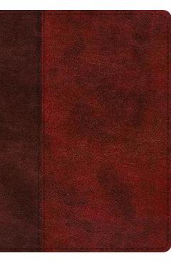 ESV Single Column Journaling Bible, Large Print (Trutone, Burgundy/Red, Timeless Design) -