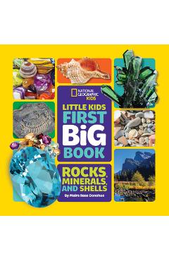 Little Kids First Big Book of Rocks, Minerals & Shells - Moira Donohue