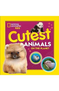 Cutest Animals on the Planet - National Geographic Kids