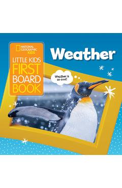 Little Kids First Board Book: Weather - Ruth Musgrave