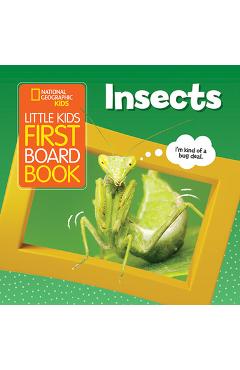 Little Kids First Board Book: Insects - Ruth Musgrave