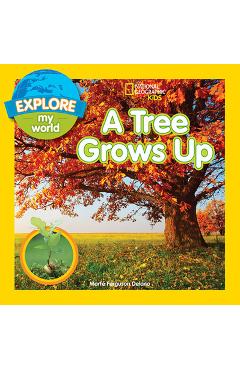 Explore My World: A Tree Grows Up - Marfe Delano