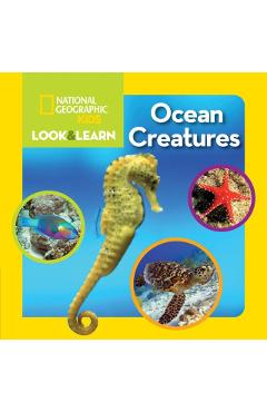 National Geographic Kids Look and Learn: Ocean Creatures - National Geographic Kids