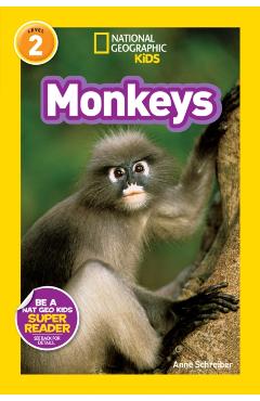 Monkeys - Anne Schreiber