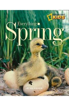 Everything Spring - Jill Esbaum