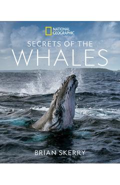 Secrets of the Whales - Brian Skerry