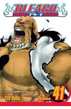 Bleach, Vol. 41, 41 - Tite Kubo