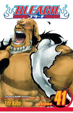Bleach, Vol. 41, 41 - Tite Kubo